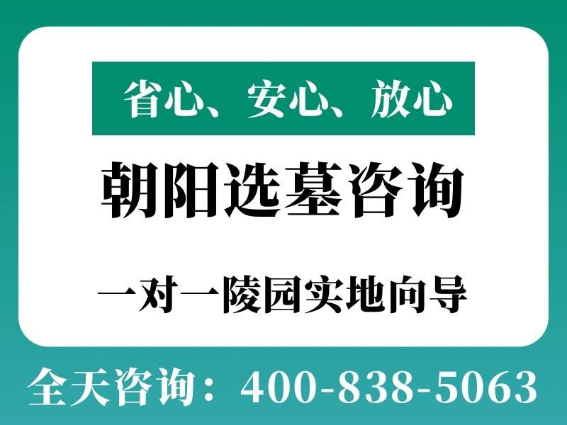 朝阳陵园手机造型墓碑能放真手机吗：探究其真实用途与象征意义